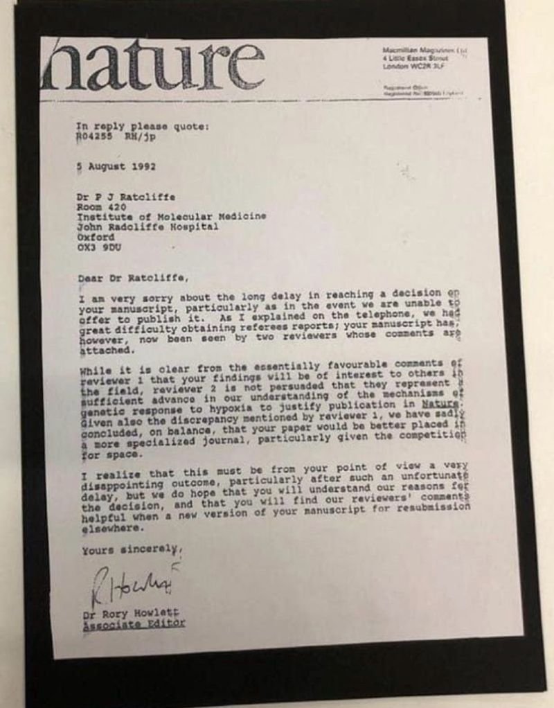 ScholarshipfPhd's tweet image. In 1992, Nature rejected Peter Ratcliffe’s paper, saying his work wasn’t “a sufficient advance in our understanding.”

Twenty-seven years later, he won the Nobel Prize for that very same discovery.

Keep believing in your work — even when others don’t see its value yet.