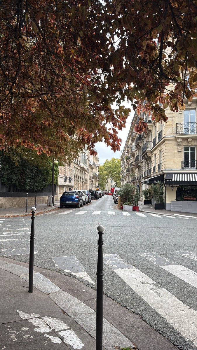 Empathise tweet media