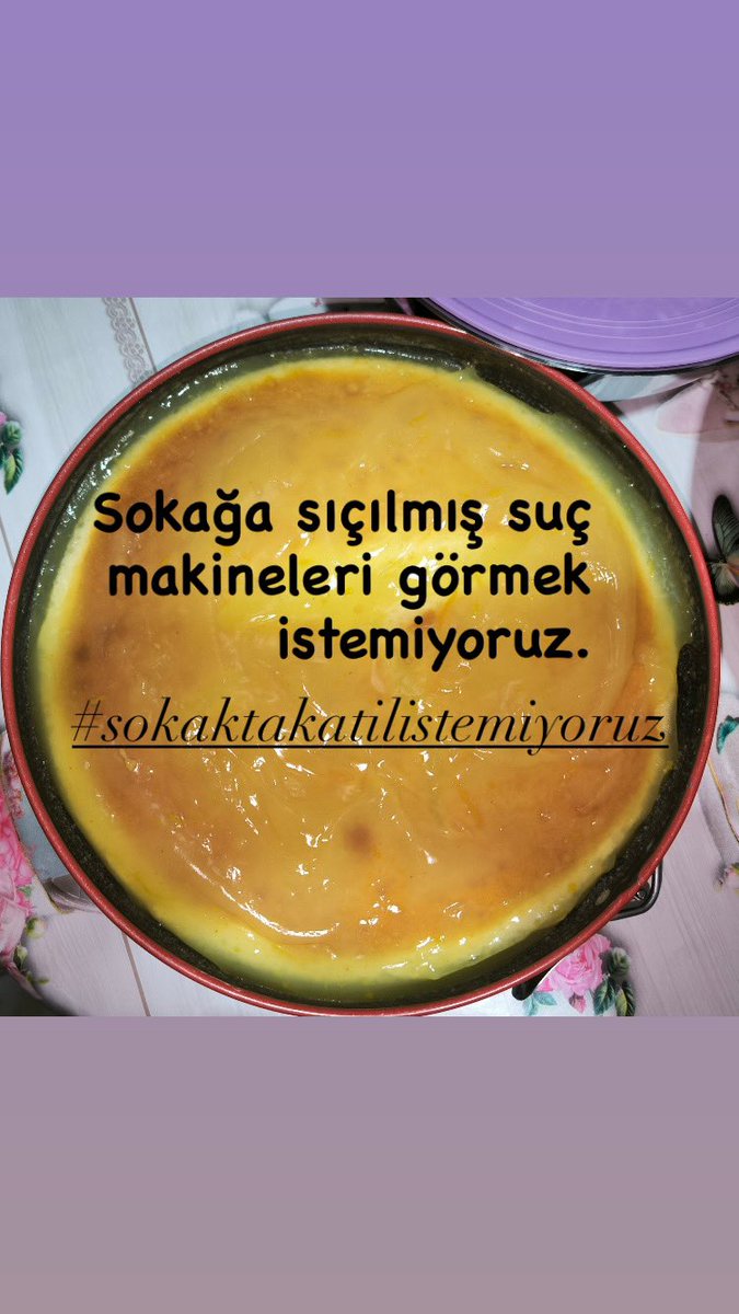 Ana babasının sahip çıkmaya gerek duymadığı mikropların korunmasını da istemiyoruz. #SokaktaKatilİstemiyoruz