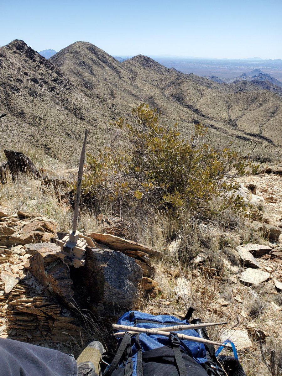 praying_medic1's tweet image. While Amazon Web Service reveals the fragility of modern communication infrastructure, Arizona Mesh Organization is building a solar-powered off-grid, encrypted text message network in Maricopa county that is free for public use. 

#meshtastic
#meshcore