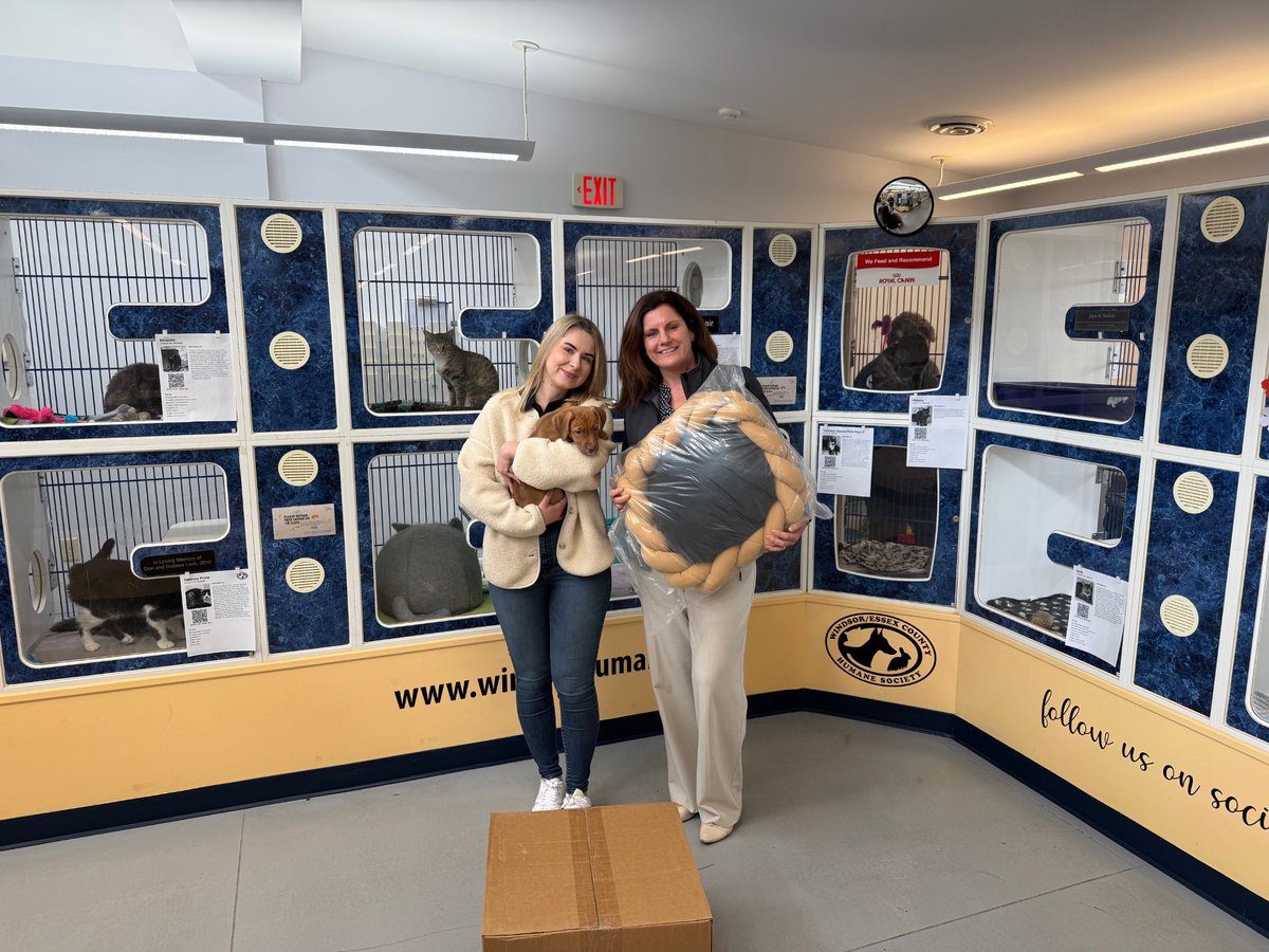 AlphaKOR Group tweet media