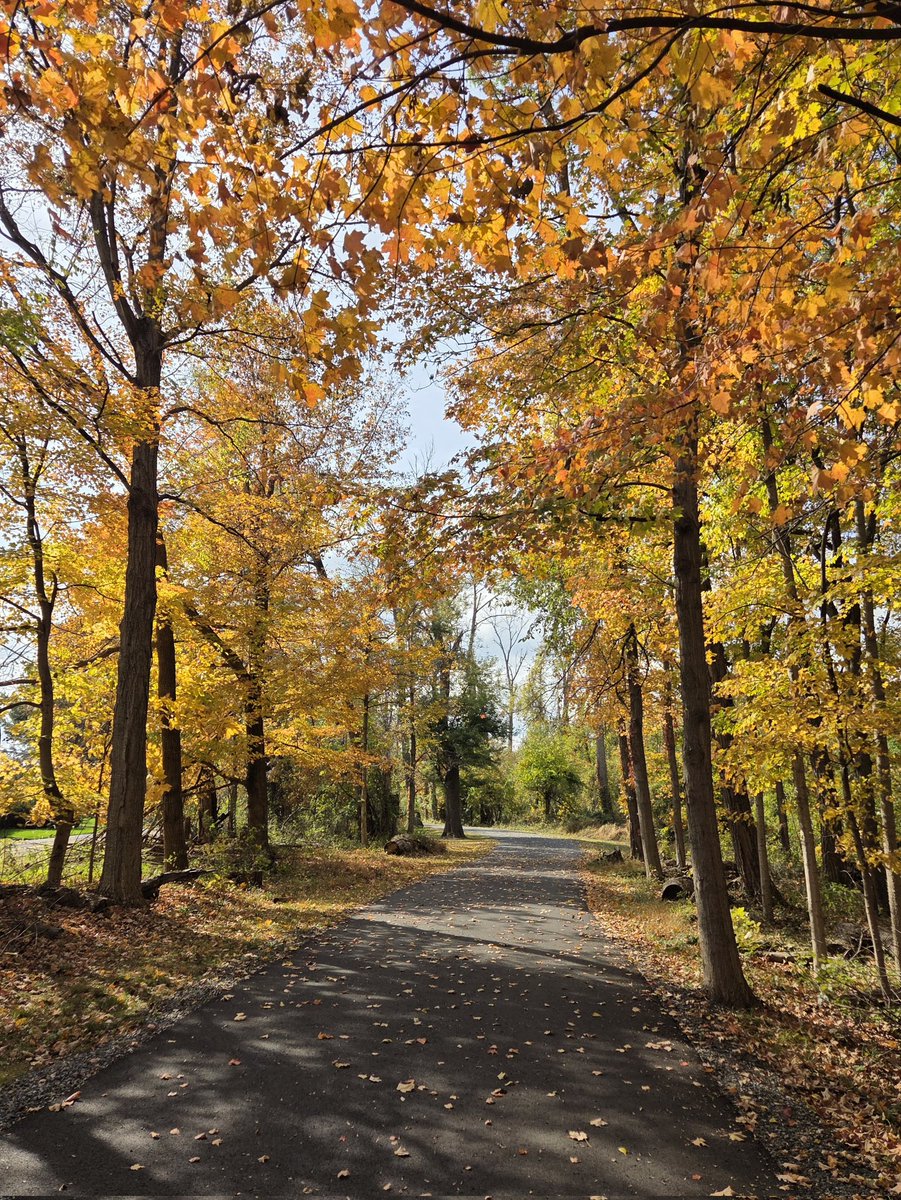 MMcLaughlinsong's tweet image. He leads me in paths of righteousness for His name&apos;s sake.

Psalm 23:3