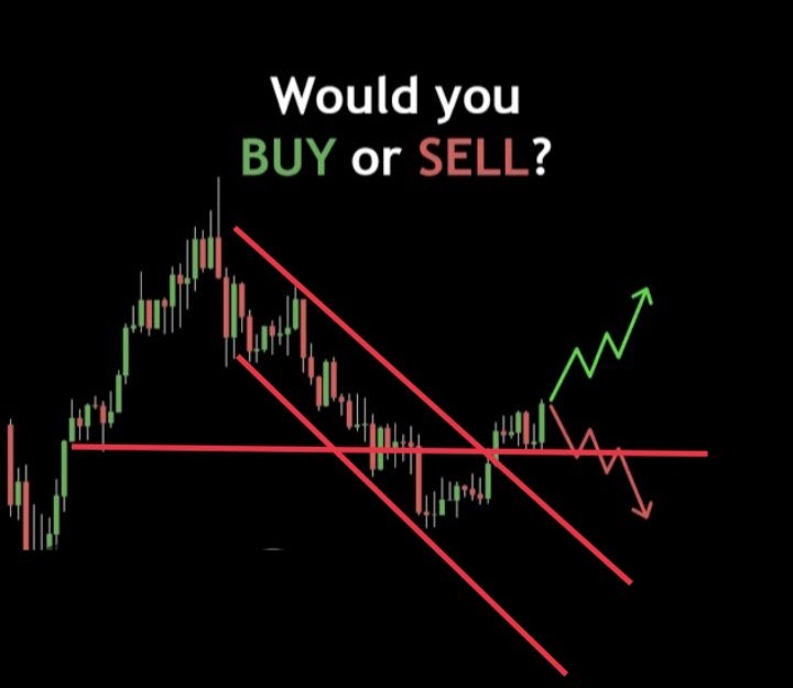 RebellioMarket's tweet image. Would You Buy Or Sell?