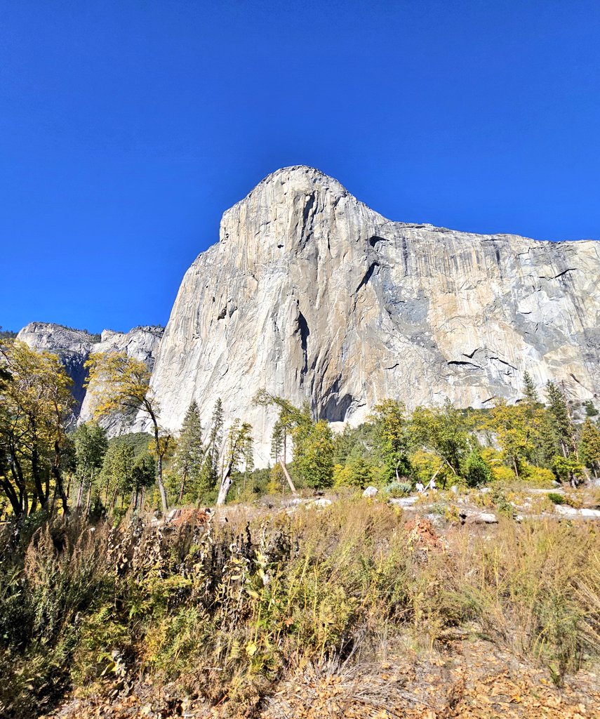 Pelaez2025's tweet photo. @8ntmuch Yosemite in autumn π£
#grateful #happyinside #scaredycat #autumn #lookingup #sharingaworld https://t.co/PX2vQHXhHq