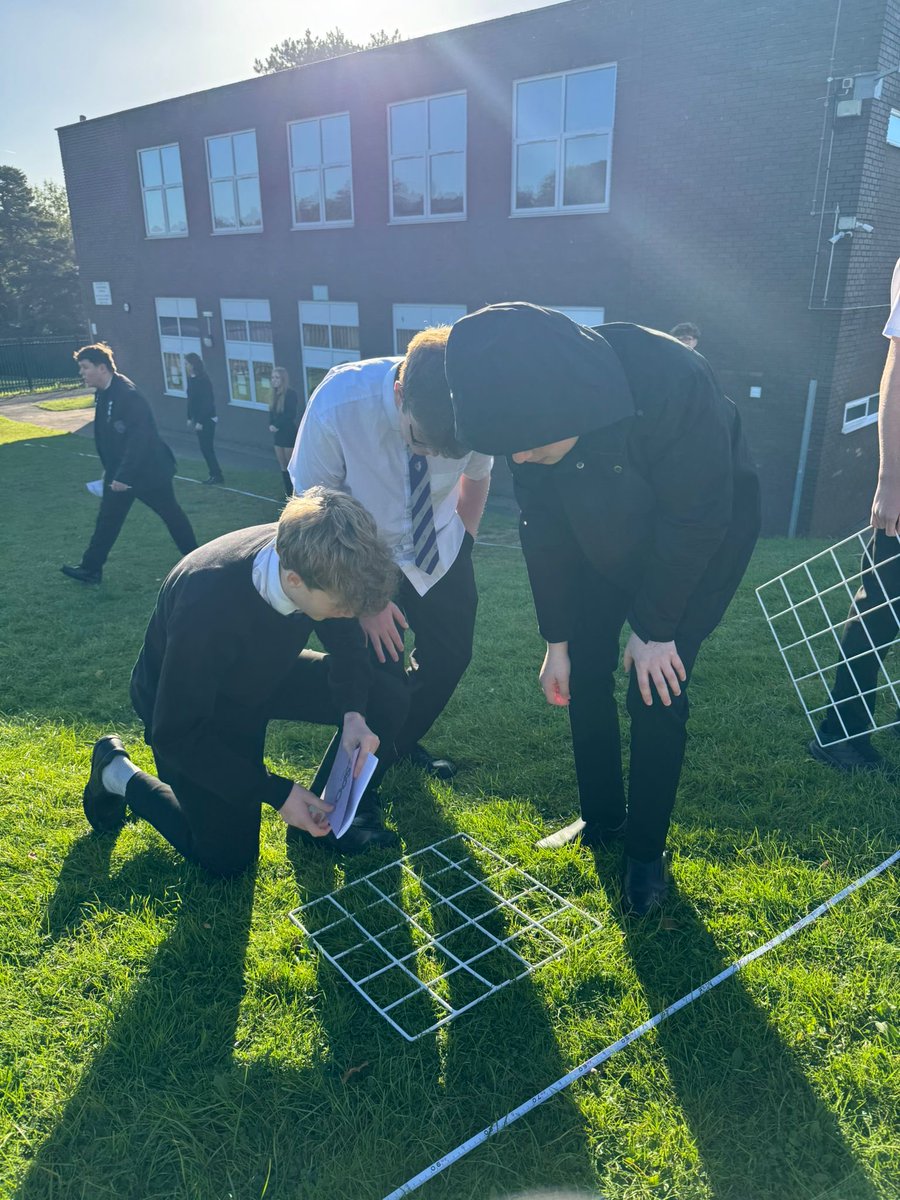 CHS_Science_1's tweet image. Year 11 made the most of some good weather before the rain set in, using quadrats to investigate how organisms are distributed across different areas. 
Hands-on science, fresh air, and data collection in action! 💚🔬🌱