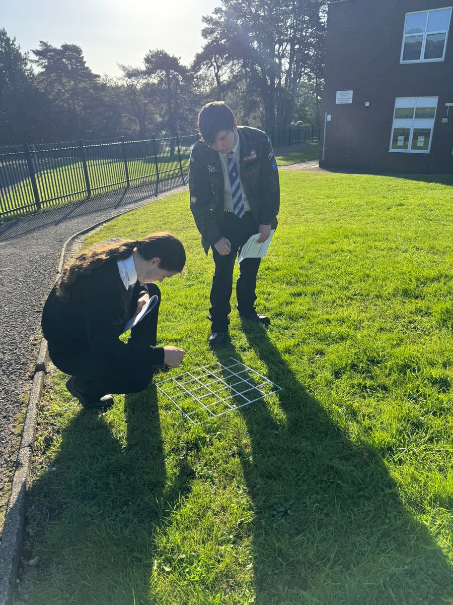 CHS_Science_1's tweet image. Year 11 made the most of some good weather before the rain set in, using quadrats to investigate how organisms are distributed across different areas. 
Hands-on science, fresh air, and data collection in action! 💚🔬🌱