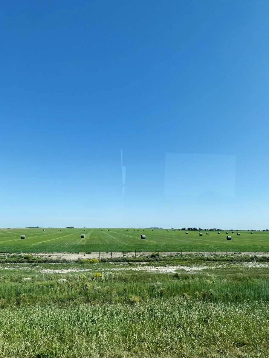 Valdo ☀️ (@valdon0v) on Twitter photo 