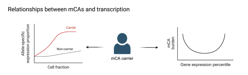 Marie-Julie Favé tweet media