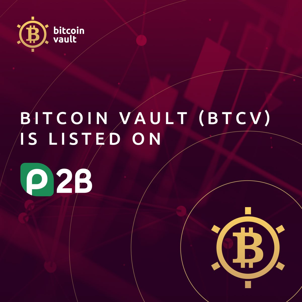 Bitcoin Vault (@VaultBitcoin) / Posts / X