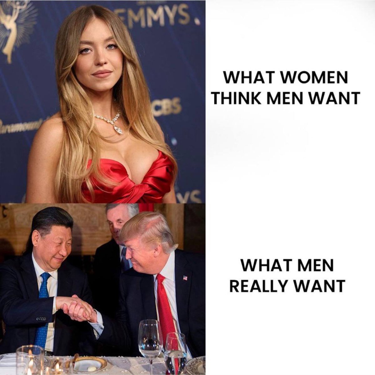 _0xamazing's tweet image. Based