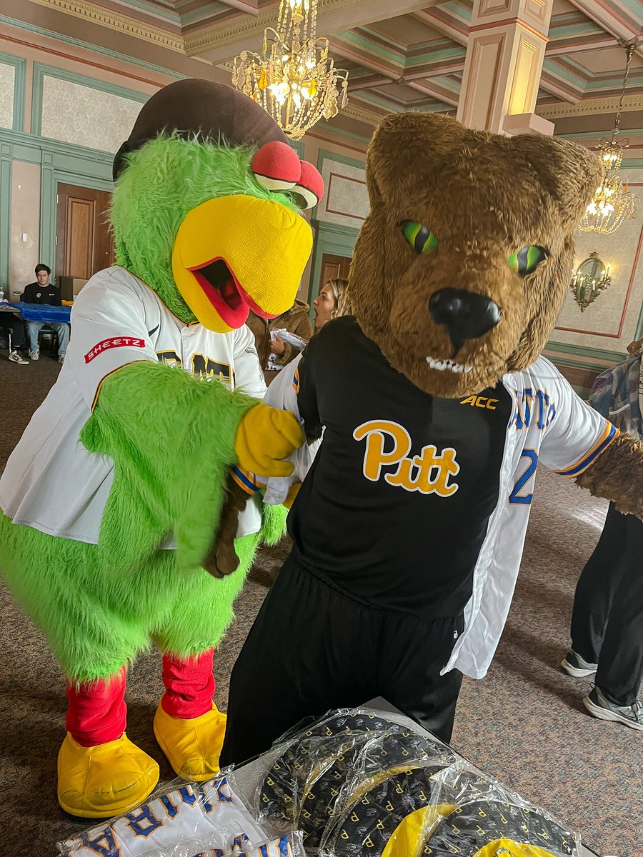 The Pirate Parrot made a special visit to @pittofficial to celebrate Homecoming Kick-Off! 💙🏴‍☠️💛