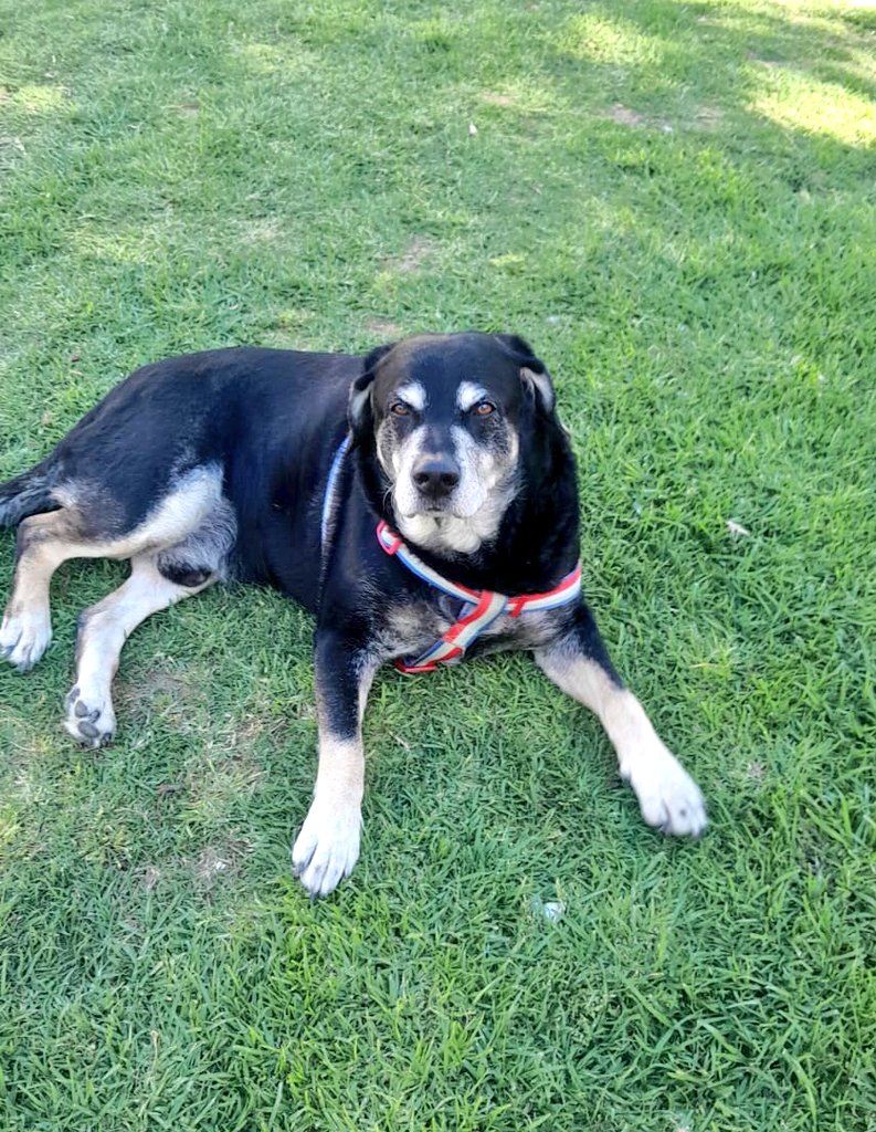 exagereando's tweet image. PAPPO: "Estamos contentos con este clima tan lindo!!!!" 
 [Decíselo a tu cara gordo] #Teamverano #primavera