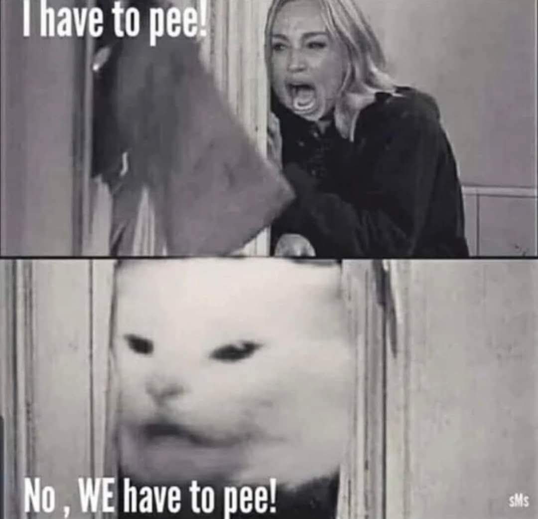 😆