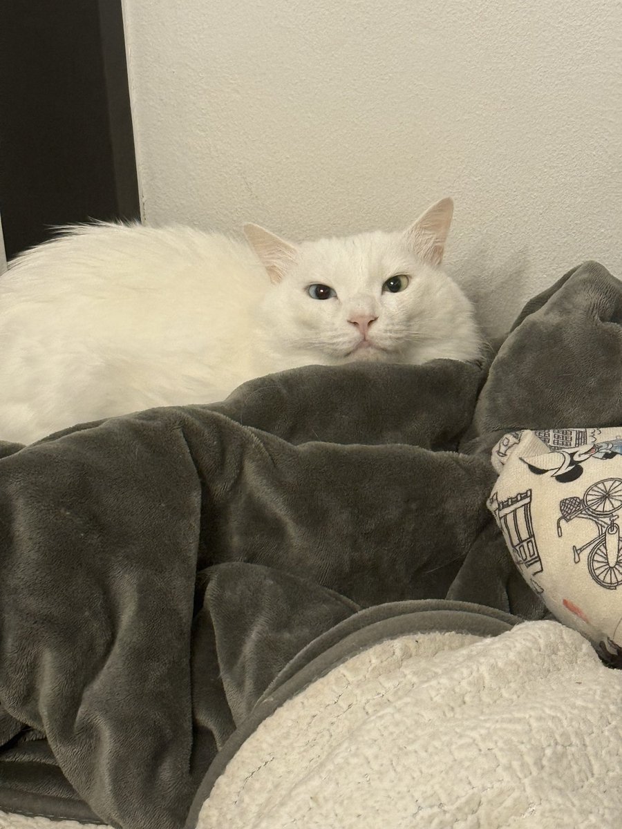 あき様♡ありがとうございます♡ 全部落書きしようとおもったけど一枚目で飽きた❤️‍🩹