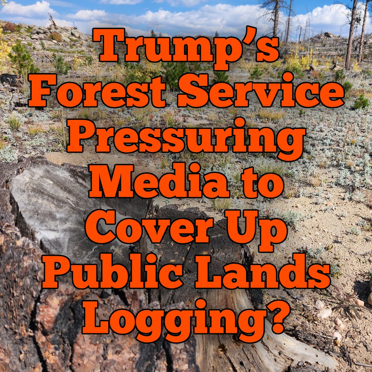 Eco-Integrity Alliance tweet media