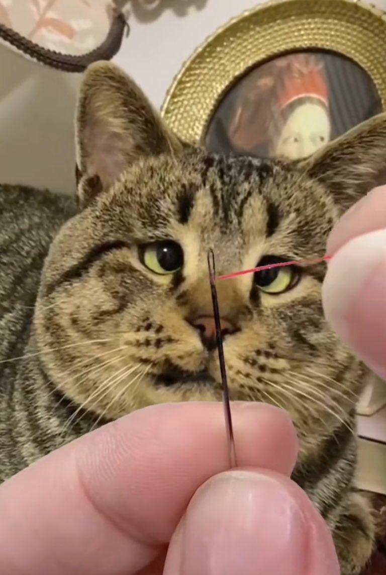 🐝 You have 1 new match! 🙌