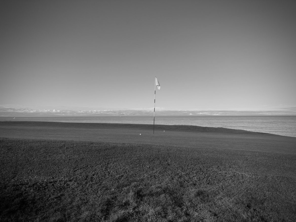 @pitchmarks tweet media