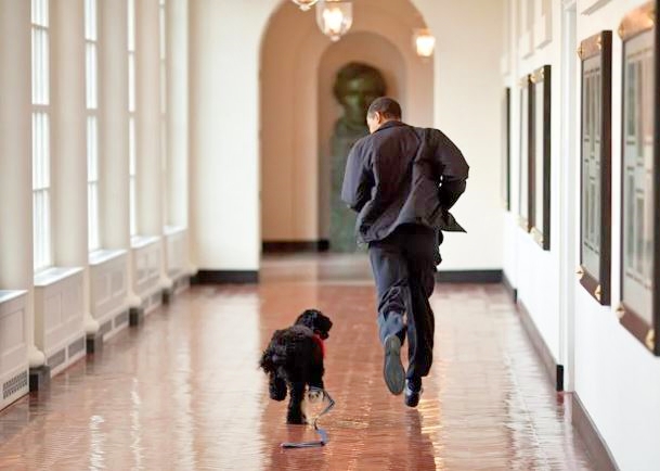 Destruction of the White House East Wing began today. Here it is in better times with better residents.