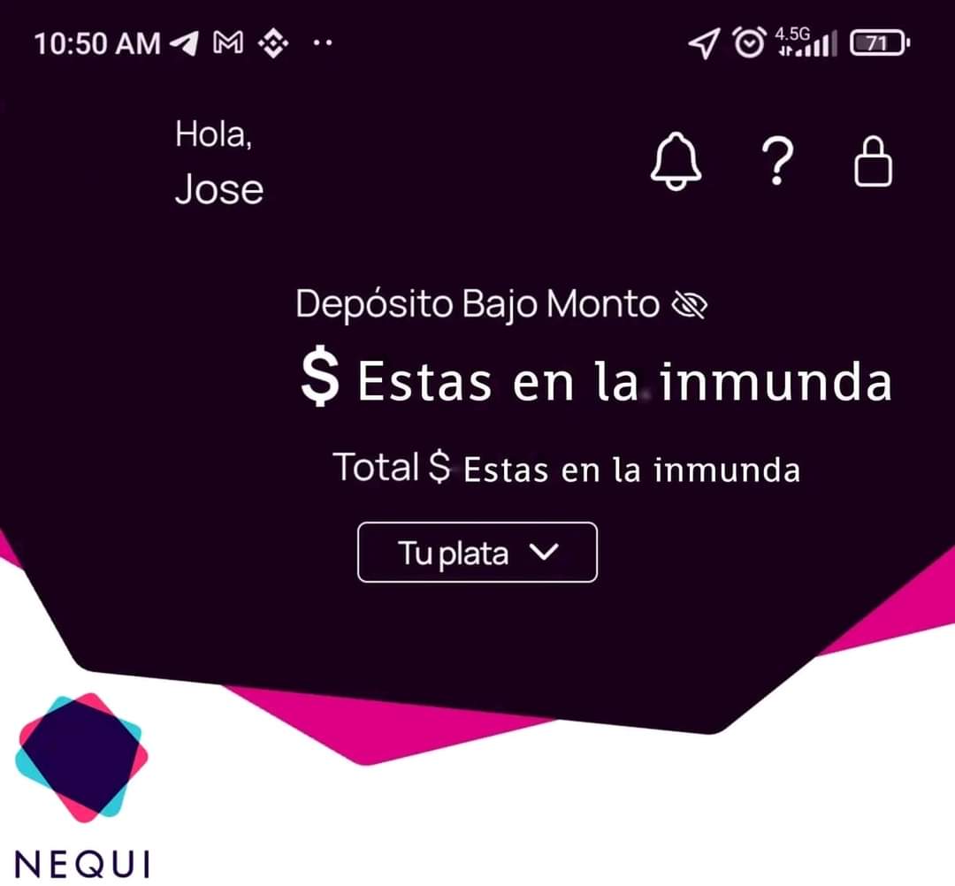 i19daarr's tweet image. igual no me preocupo por nequi porque mi nequi está así