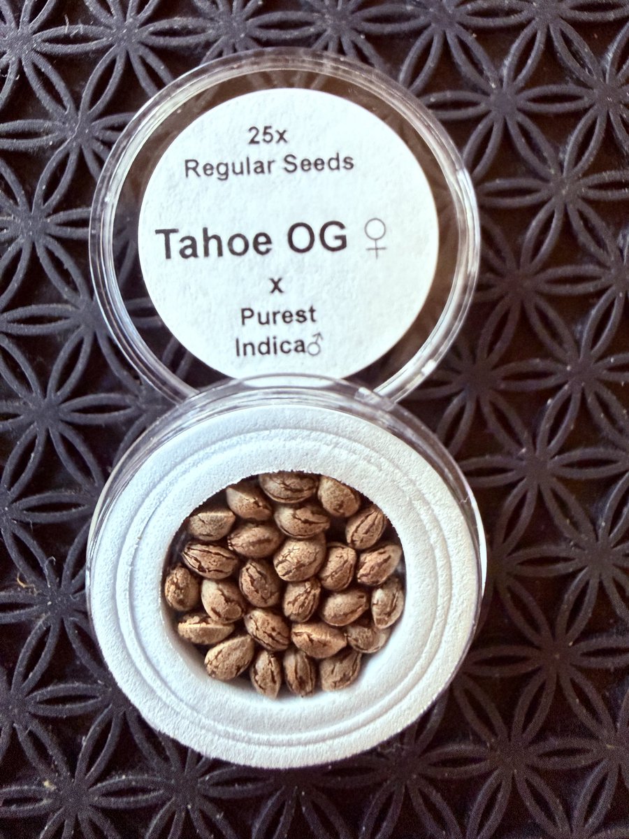 25 seeds for $25! agseedco.com/collections/re…