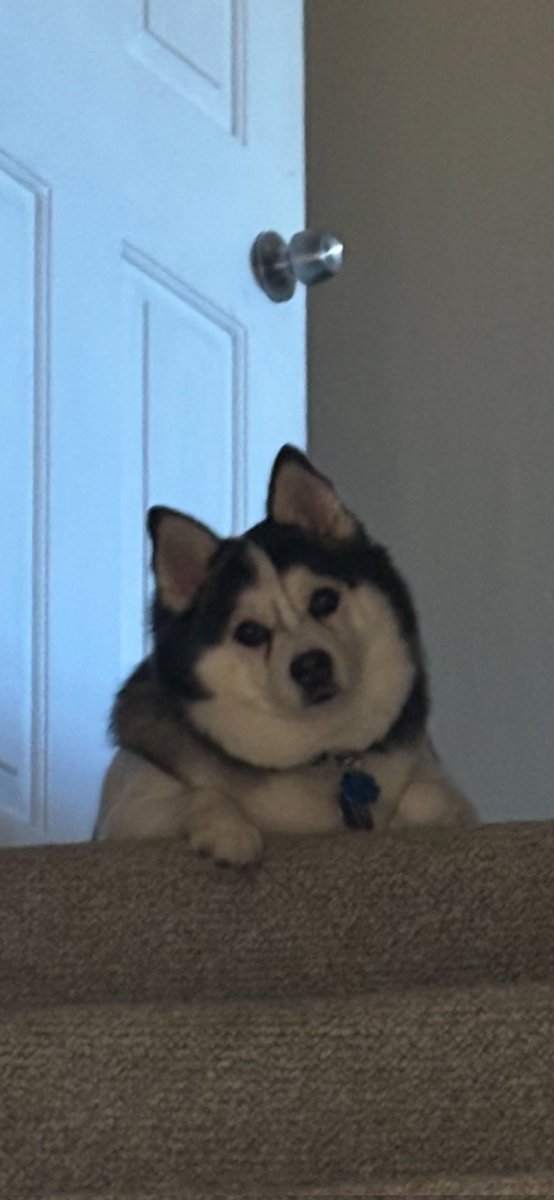 <a href="/LegatoTia/">♥️✨Tia Legato💫</a> <a href="/RoxybooMagic/">Patti Chapman</a> <a href="/KLaurieks/">LadyLaurie💜BeachBum</a> <a href="/Libellul_37/">Daniela.Chirico</a> <a href="/searcher9090/">Drifter</a> <a href="/BunnieKat1962/">KaT~ 💀</a> <a href="/WRosskopf/">William Rosskopf</a> My pleasure Tia ❤️🐾
Kai...