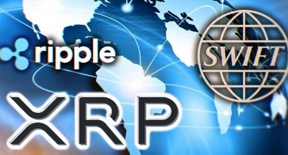 XRP QUEEN🤍 tweet media