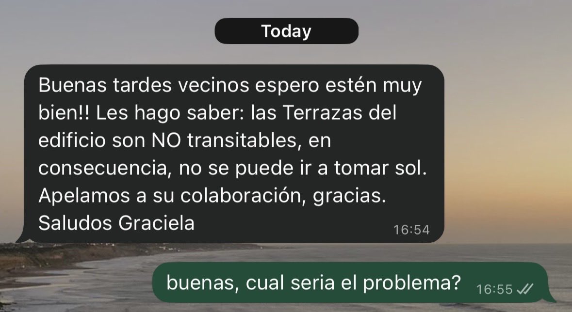iara tweet media