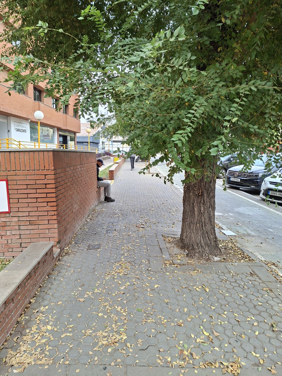 En la Avd. de Hytasa en el tramo que va desde la c/ Juan Talavera Heredia hasta la carretera de Su Eminencia, es imposible andar, tienes que ir esquivando ramas. <a href="/DtoCerroAmate/">Distrito Cerro-Amate (Sevilla)</a> 
<a href="/eveliarincon/">Evelia Rincón</a> 
<a href="/pepelugomoreno/">José Lugo Moreno</a> 
<a href="/PatricioLeonR/">Patricio León Roca</a> .