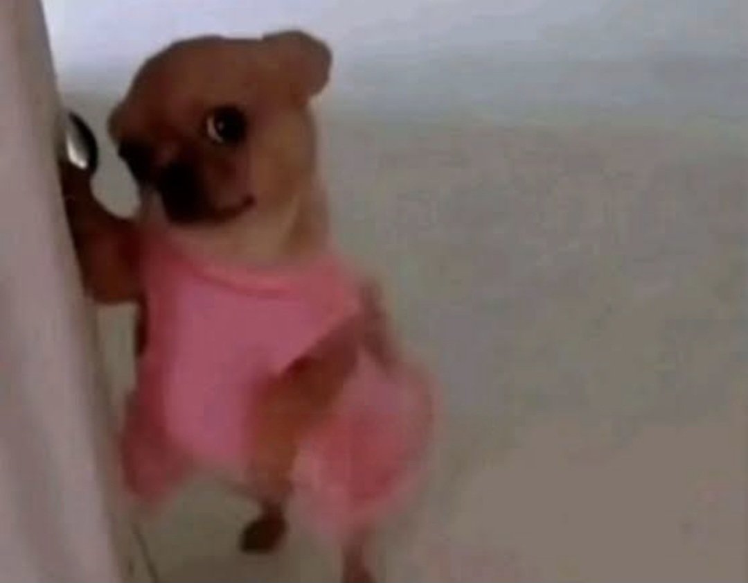 annem , fragmani hemen aticakmissin dedi 
#TaşacakBuDeniz