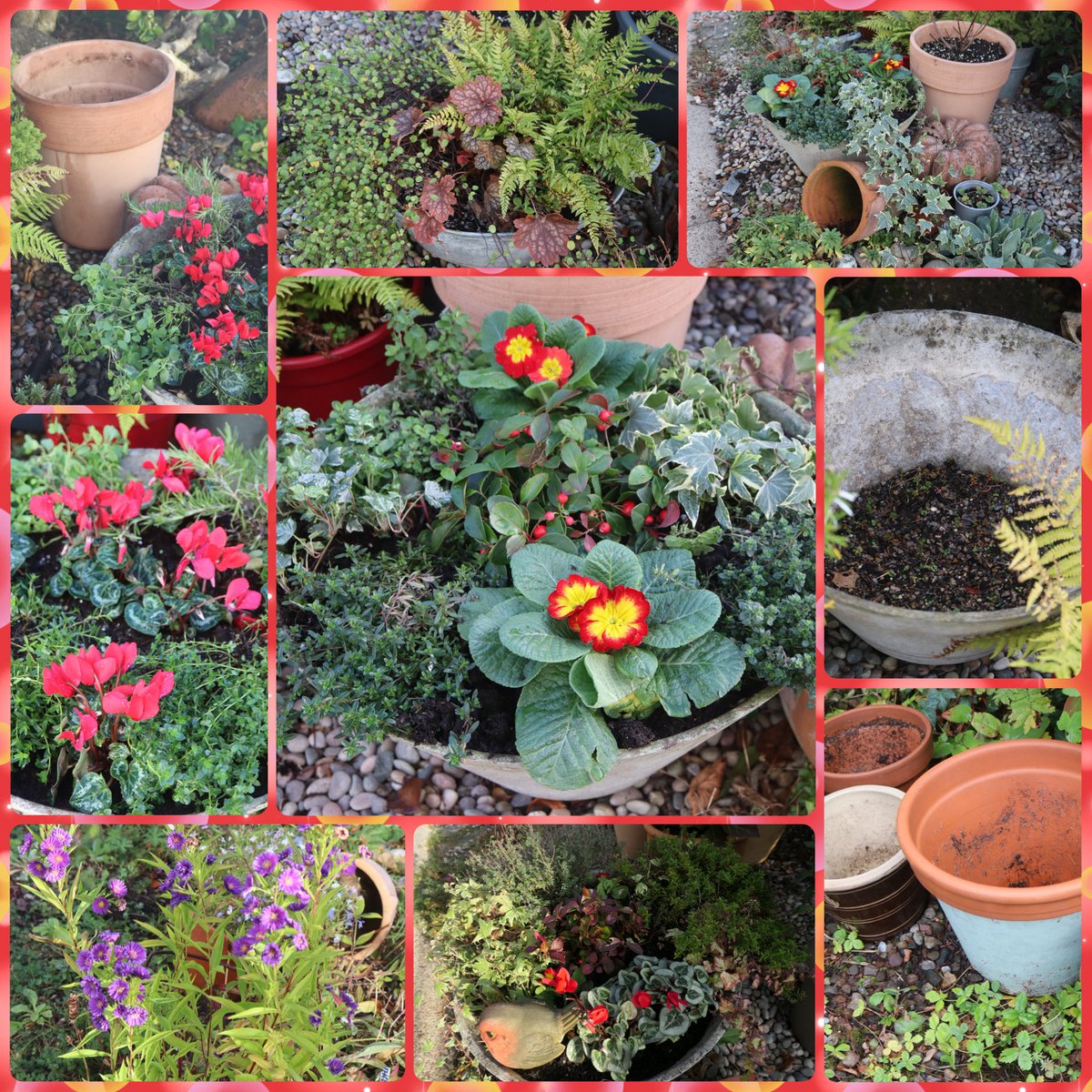 bumblebuddeez's tweet image. Hello #GardensHour from our garden this week #Reuse #Recycle