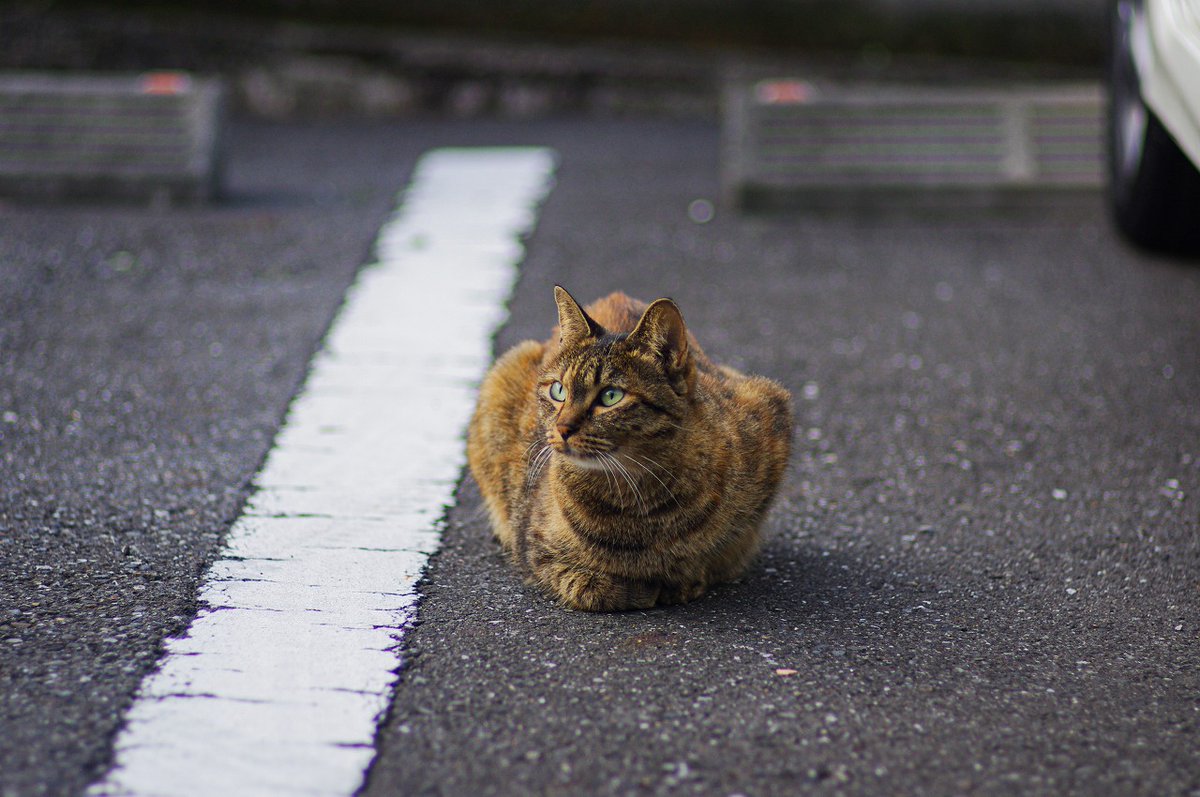 おはよう火曜日