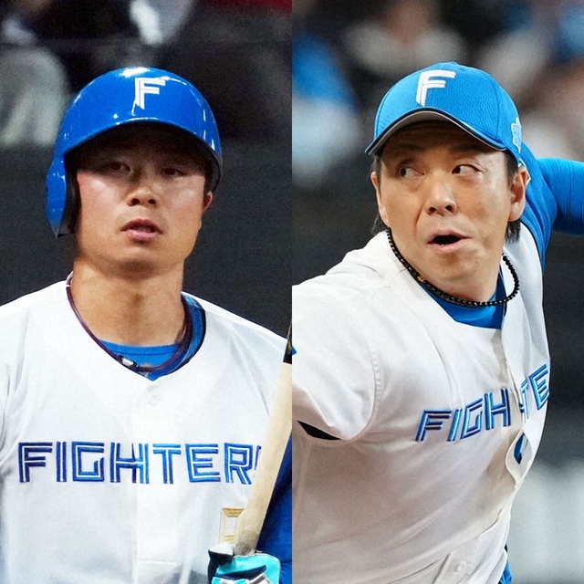 ドラペイ tweet media