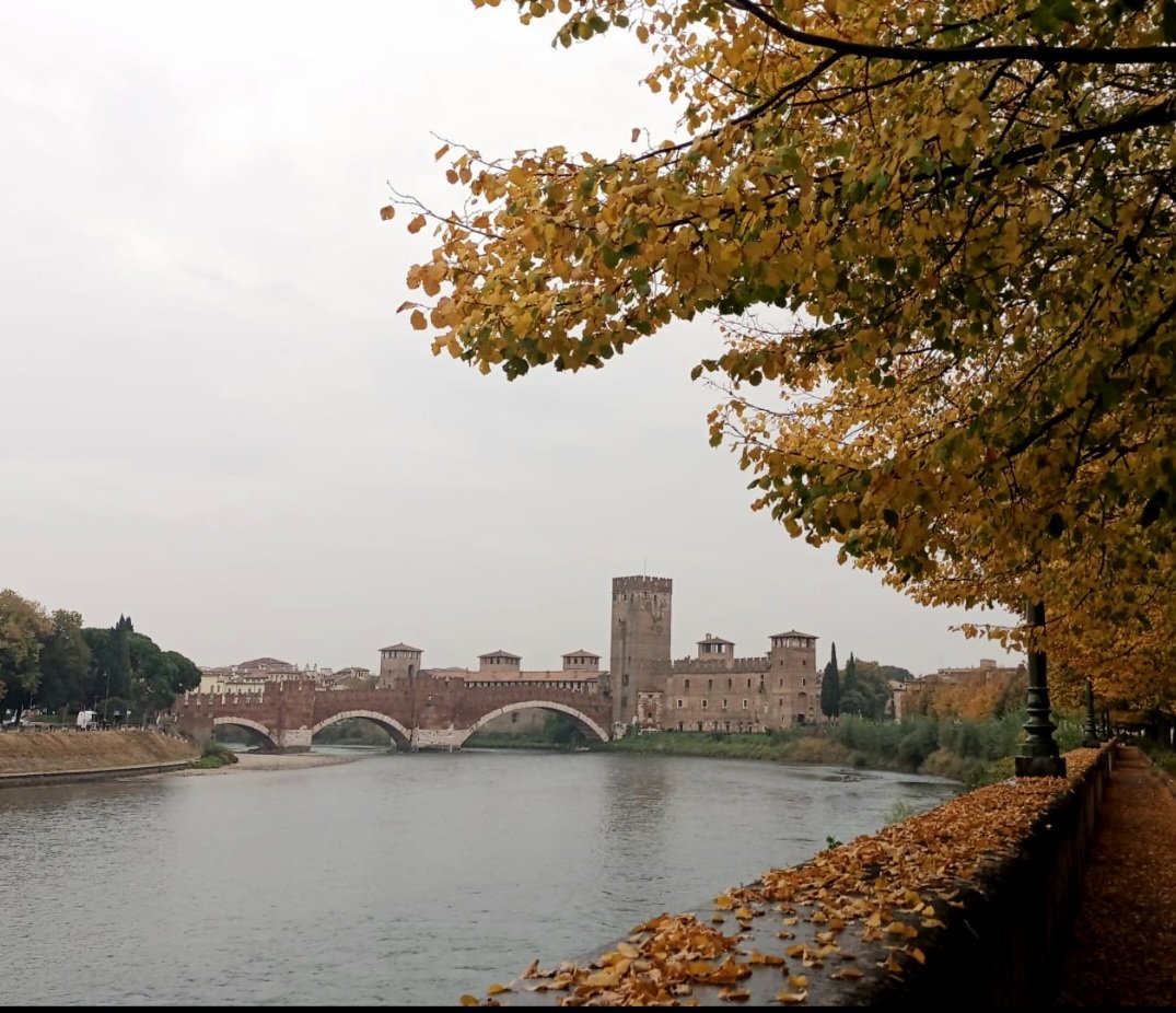 Le Castelvecchio sur l'Adige en automne
