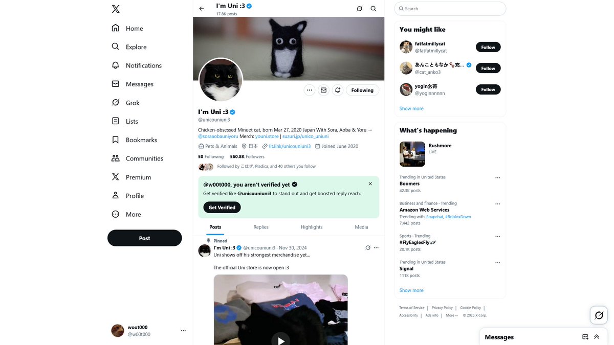 w00t000's tweet image. some examples of how this looks on firefox: 1st and 3rd images are without uBlock Origin enabled, 2nd and 4th images are with uBlock Origin + my filters enabled