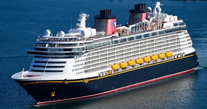 5-year-old girl fell overboard on Disney cruise due to mom: police report dlvr.it/TNnS1G