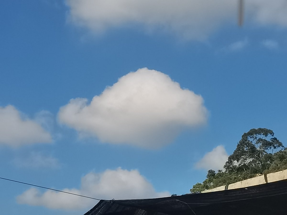 木水水 (@mshushu771702) on Twitter photo 