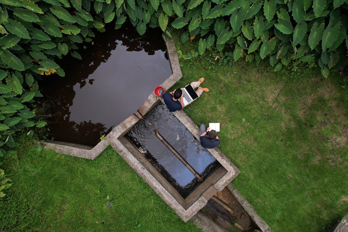 Happy #StatsDay! Its estimated that 1000mm of the 2024 average mist captured in the PNP was available for recharge💧 This means mist contributed 𝟓𝟖% 𝐨𝐟 𝐫𝐞𝐜𝐡𝐚𝐫𝐠𝐞 in 2024 in land above 690m, evidencing the importance of the cloud forest for water supply! #SHCFP