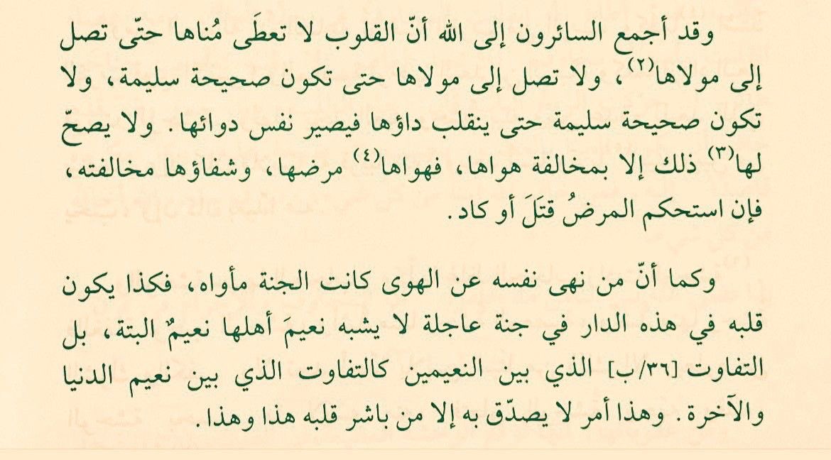 ندىٰ | أخصائية نفسية (@psy_nadaa) on Twitter photo 