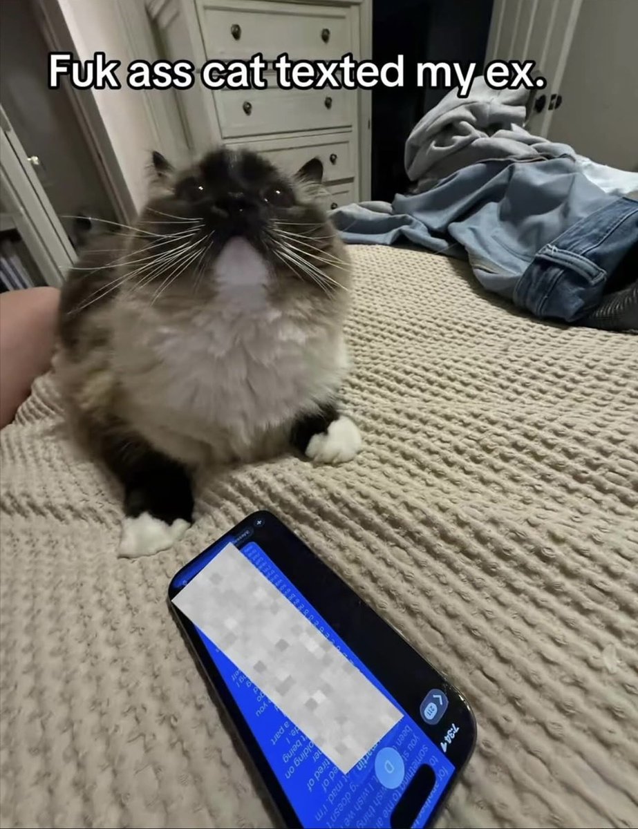 Wild Sentences (@wildsentences) on Twitter photo 