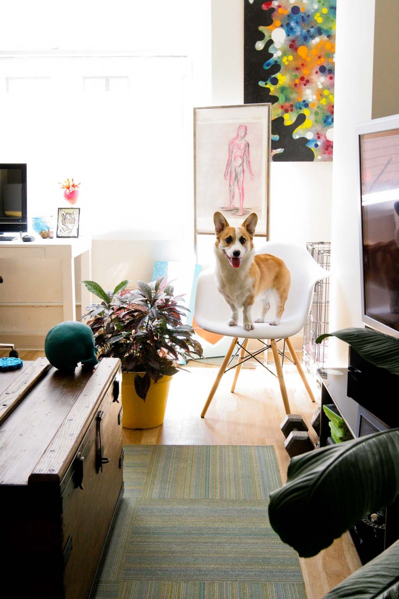 RentCompass's tweet image. 7 Things You Need to Do Before Adopting a Pet
apartmenttherapy.com/7-things-you-n…