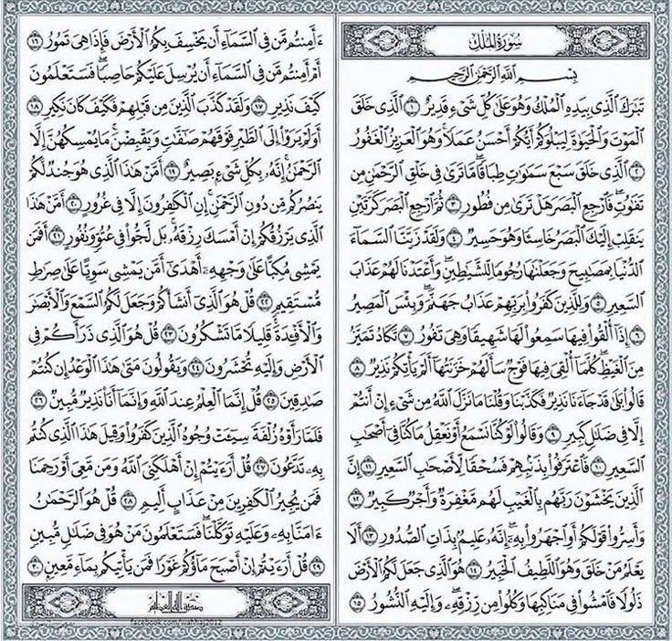 غيم🕊️ tweet media