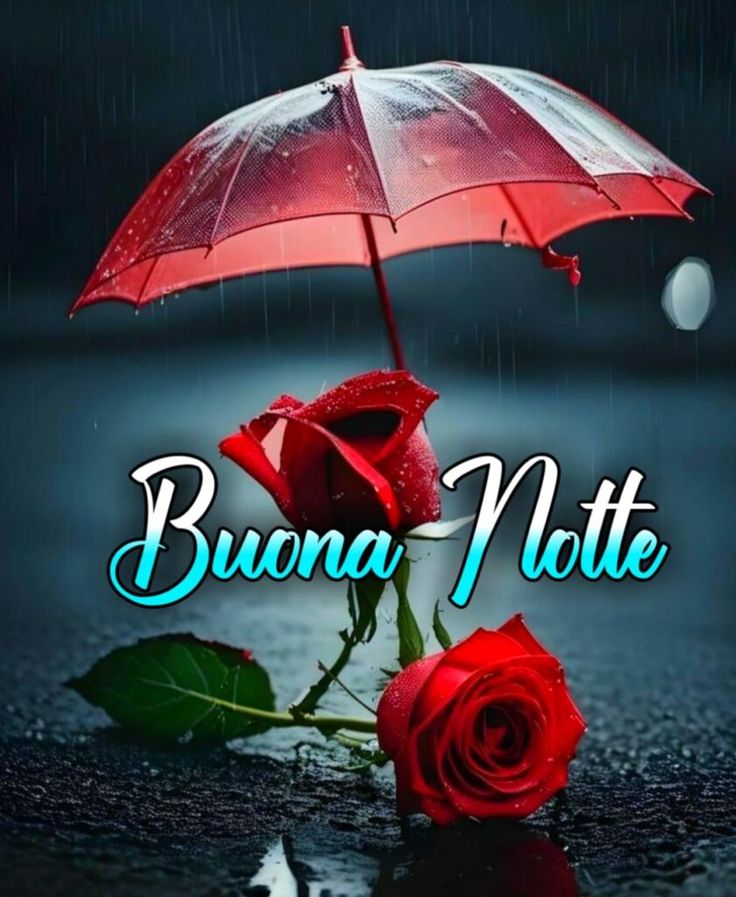 Buonanotte a tutti vi aspetto domani con il sole 🌛🥰☔️💋⚘️