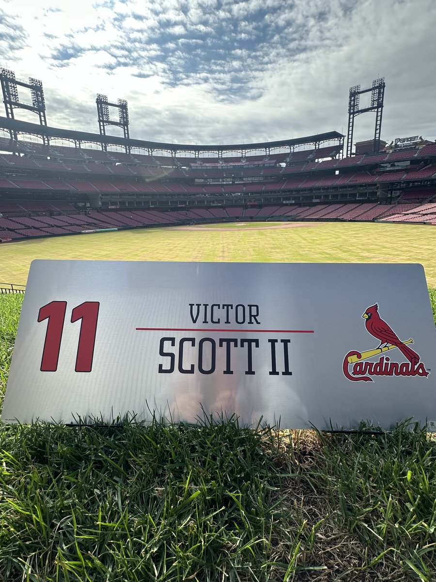 Cardinals Authentics tweet media