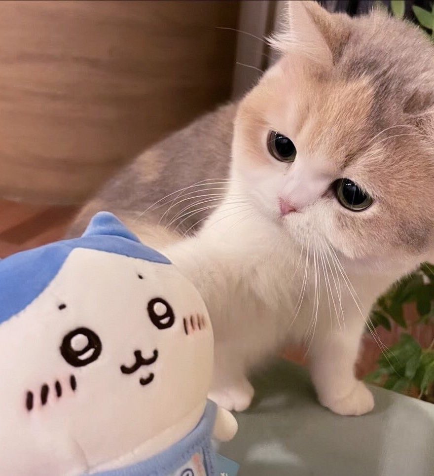 fallinkmm's tweet image. 