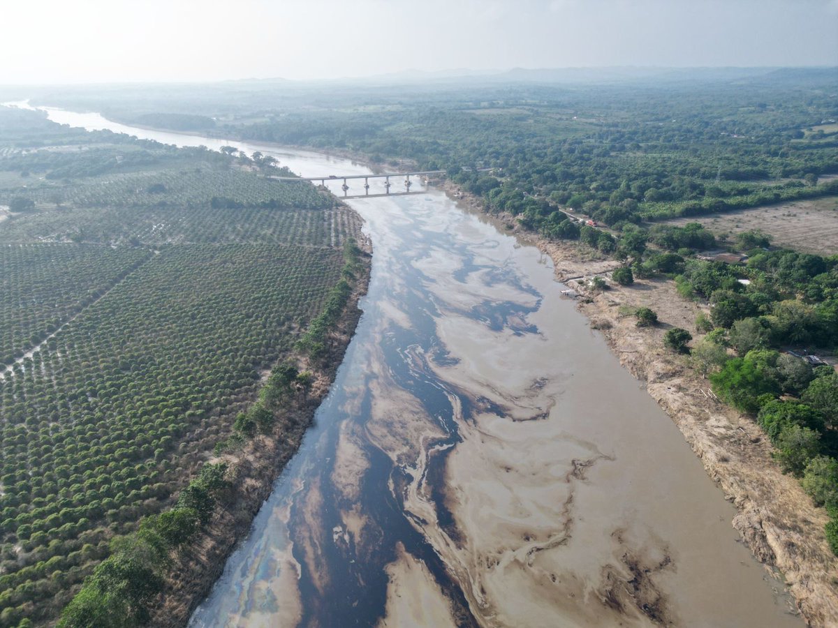 cecilia diaz tweet media