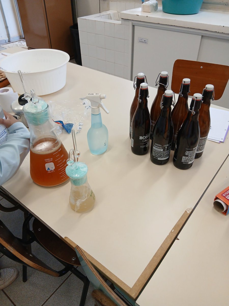 studywlets's tweet image. hoje fizemos cerveja 🍺✨️