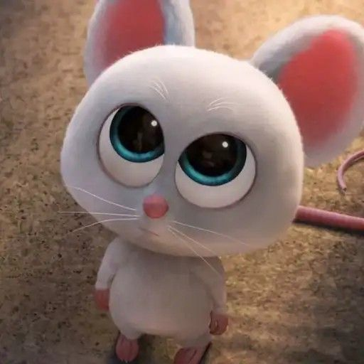 Artem1ssaa. tweet media