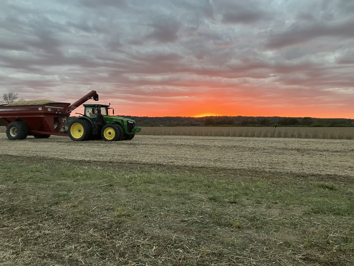 Pretty end to the day. More #soybeans to cut tomorrow here. Our semi driver friend took the photos of Mark with the grain cart. 

#agtwitter #sunset