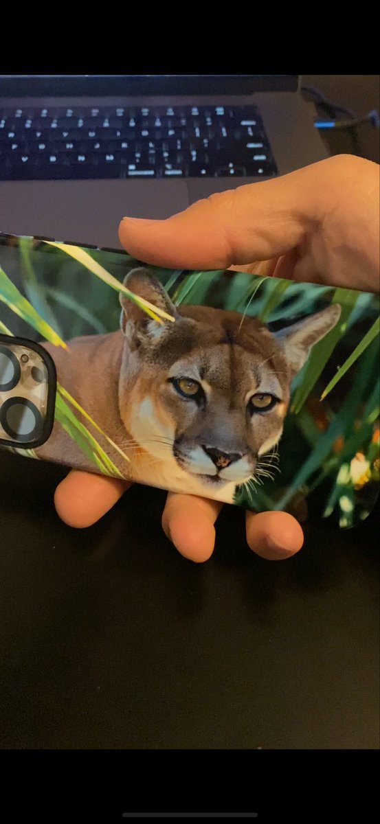 ImagesByWatson tweet media