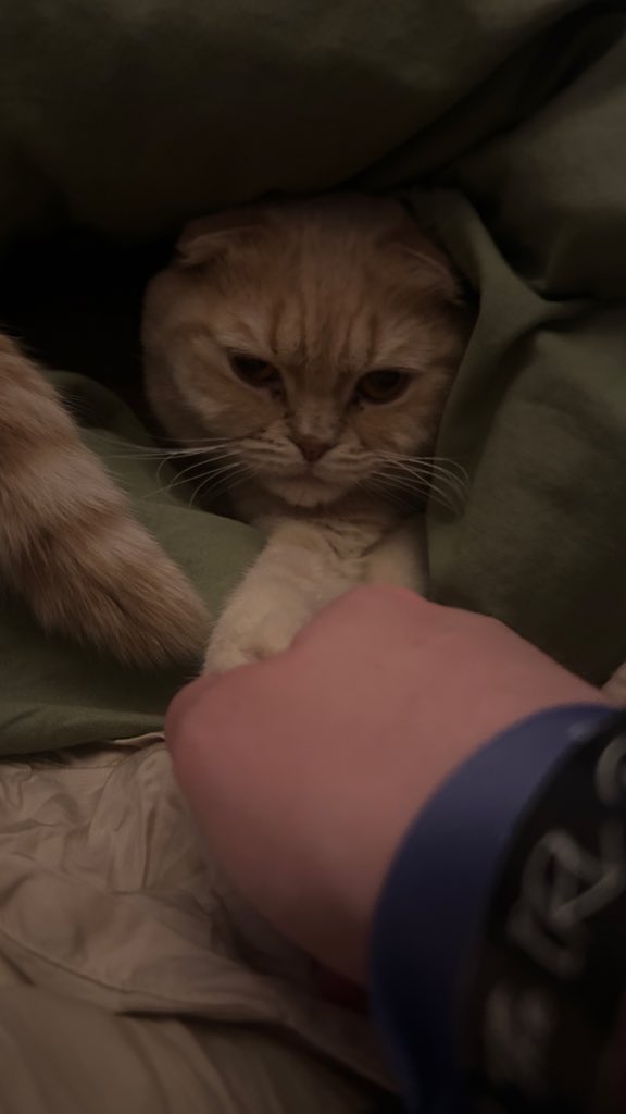 I can’t tell if thug is happy or mad that I’m home